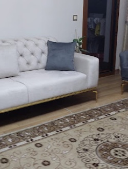 asimo-koltuk-doseme 36